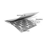 Пильник моторного відсіку передня права частина для Toyota Tundra Sequoia G1 (2001-2006) - Зображення 5